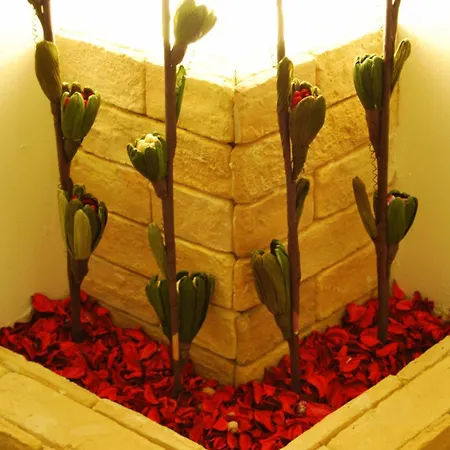 Guest house Le Cinque Novelle 4*