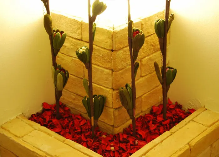 Penzion Le Cinque Novelle 4*